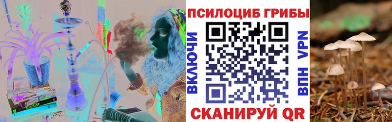 где можно купить   Красково  Псилоцибиновые грибы GOLDEN TEACHER 