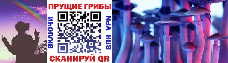 Псилоцибиновые грибы Psilocybine cubensis Красково